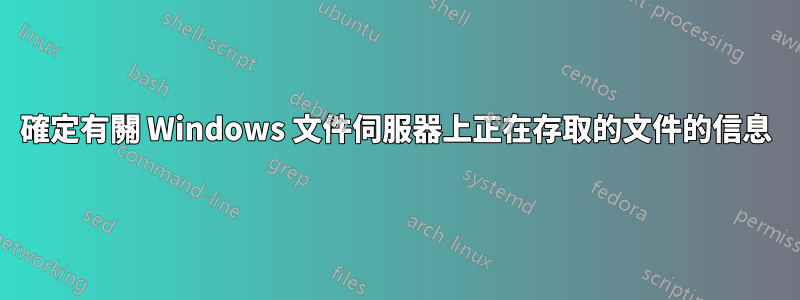 確定有關 Windows 文件伺服器上正在存取的文件的信息