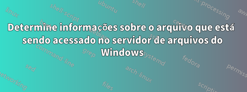 Determine informações sobre o arquivo que está sendo acessado no servidor de arquivos do Windows