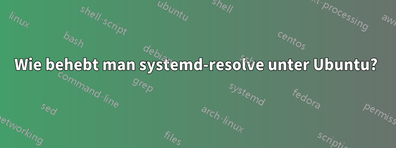 Wie behebt man systemd-resolve unter Ubuntu?