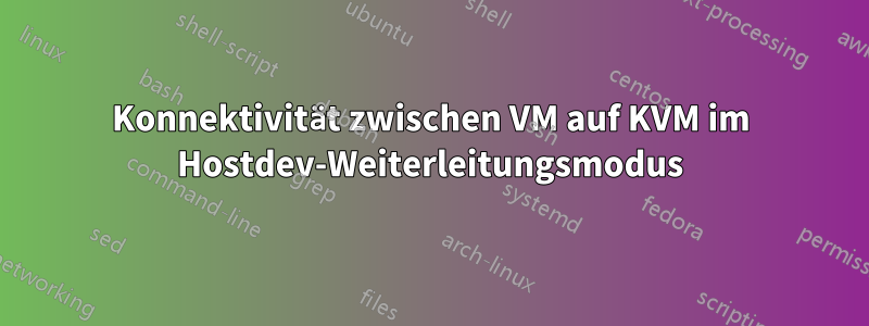 Konnektivität zwischen VM auf KVM im Hostdev-Weiterleitungsmodus