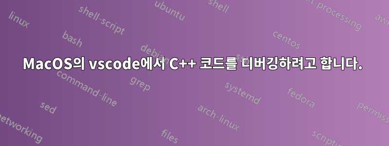 MacOS의 vscode에서 C++ 코드를 디버깅하려고 합니다.