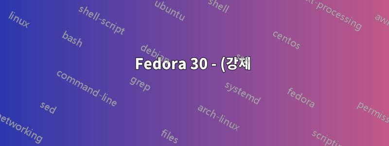 Fedora 30 - (강제) 전원을 끈 후 재부팅할 수 없습니다.