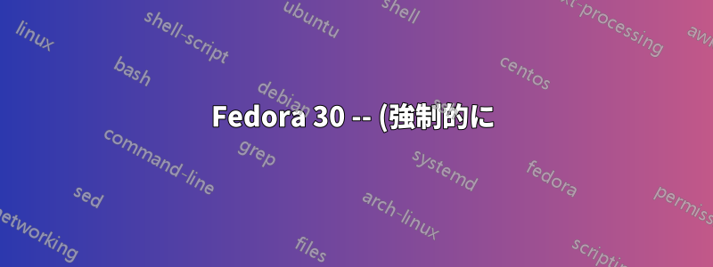 Fedora 30 -- (強制的に) 電源を切った後に再起動できない
