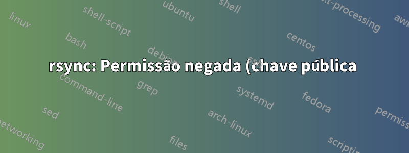 rsync: Permissão negada (chave pública) com SSH