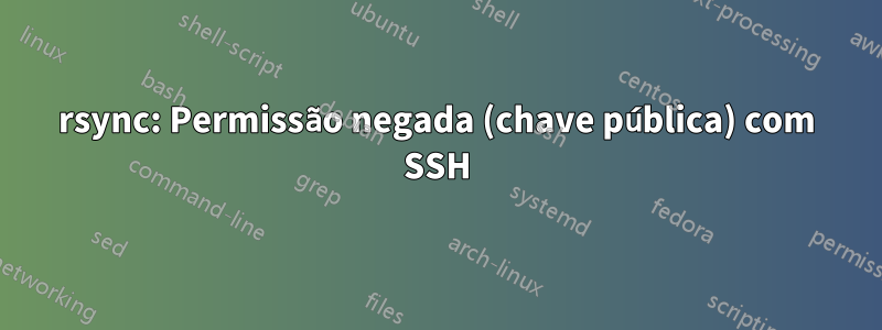 rsync: Permissão negada (chave pública) com SSH