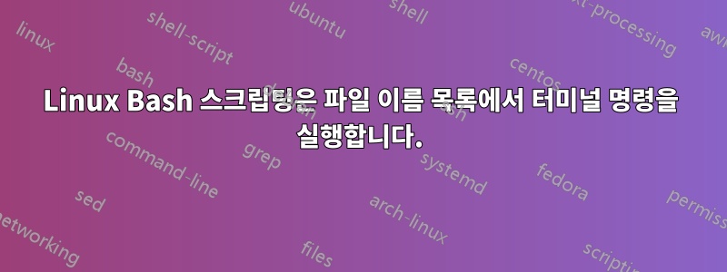 Linux Bash 스크립팅은 파일 이름 목록에서 터미널 명령을 실행합니다.