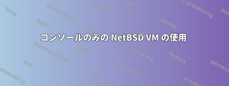 コンソールのみの NetBSD VM の使用