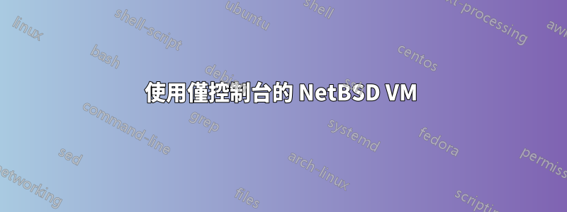 使用僅控制台的 NetBSD VM