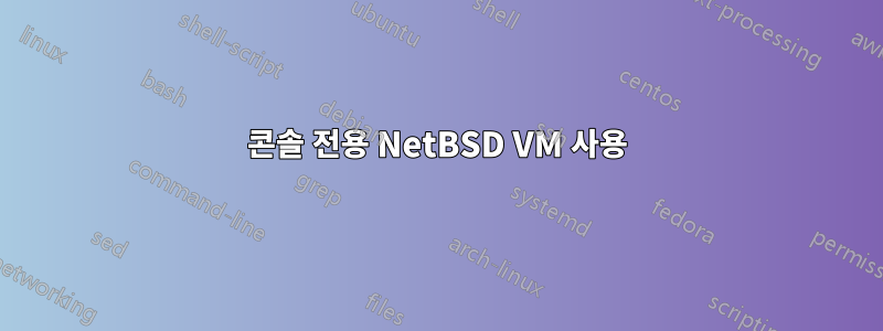 콘솔 전용 NetBSD VM 사용