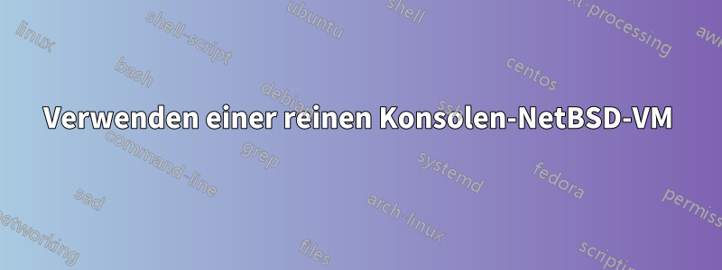 Verwenden einer reinen Konsolen-NetBSD-VM