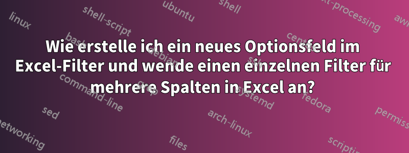 Wie erstelle ich ein neues Optionsfeld im Excel-Filter und wende einen einzelnen Filter für mehrere Spalten in Excel an?