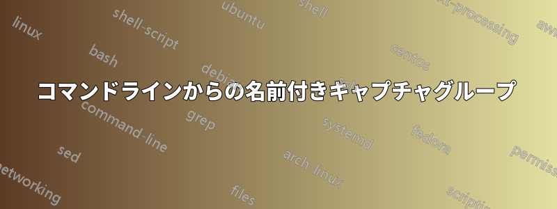 コマンドラインからの名前付きキャプチャグループ