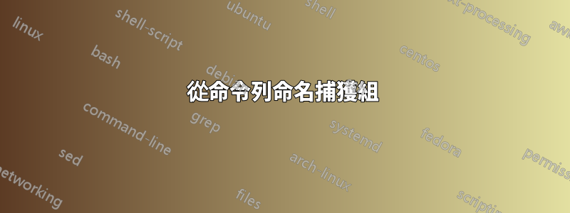 從命令列命名捕獲組