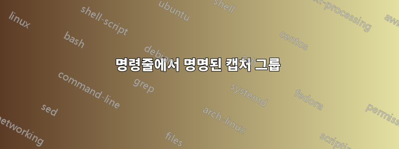 명령줄에서 명명된 캡처 그룹