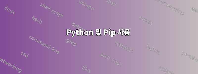 Python 및 Pip 사용