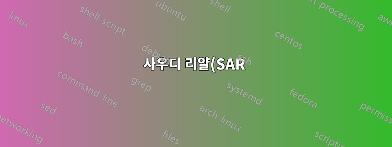 사우디 리얄(SAR) 통화 기호를 통화 왼쪽에 어떻게 넣나요?