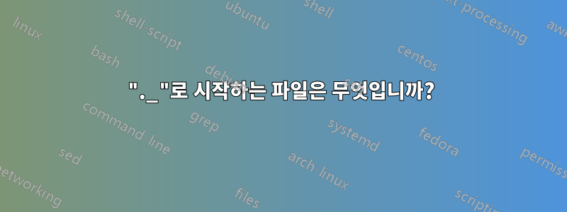 "._"로 시작하는 파일은 무엇입니까?