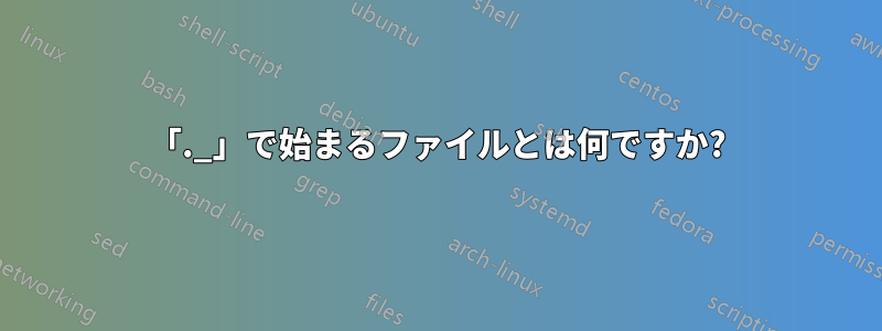 「._」で始まるファイルとは何ですか?