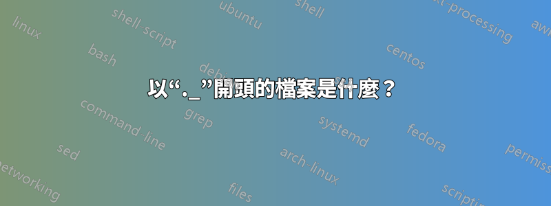 以“._”開頭的檔案是什麼？