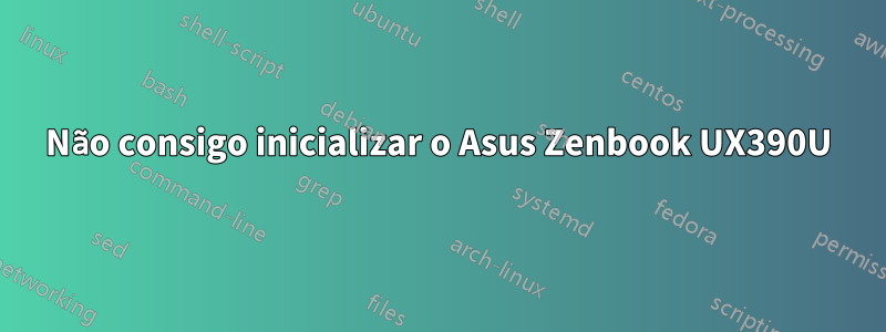 Não consigo inicializar o Asus Zenbook UX390U