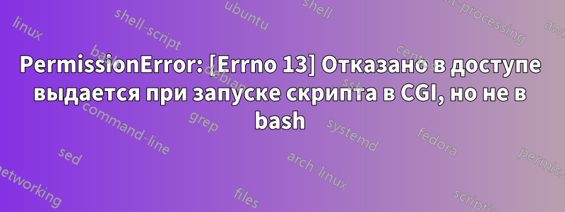 PermissionError: [Errno 13] Отказано в доступе выдается при запуске скрипта в CGI, но не в bash