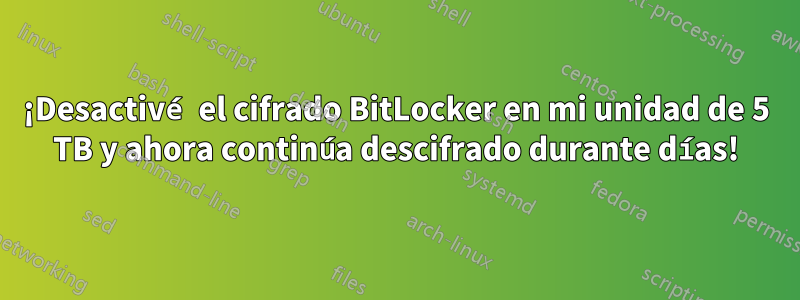 ¡Desactivé el cifrado BitLocker en mi unidad de 5 TB y ahora continúa descifrado durante días!