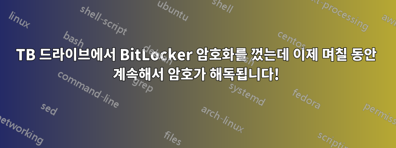 5TB 드라이브에서 BitLocker 암호화를 껐는데 이제 며칠 동안 계속해서 암호가 해독됩니다!