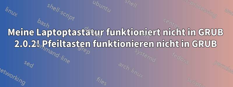 Meine Laptoptastatur funktioniert nicht in GRUB 2.0.2! Pfeiltasten funktionieren nicht in GRUB