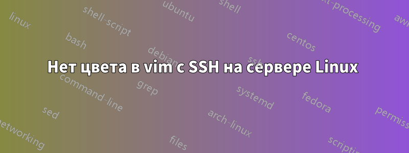 Нет цвета в vim с SSH на сервере Linux