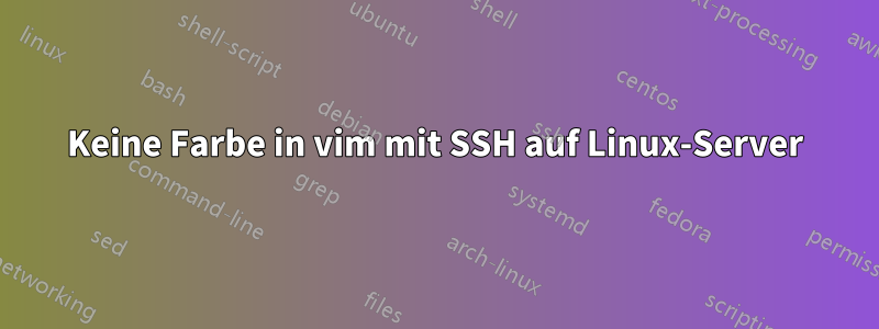 Keine Farbe in vim mit SSH auf Linux-Server