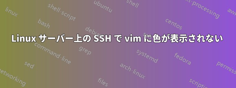 Linux サーバー上の SSH で vim に色が表示されない