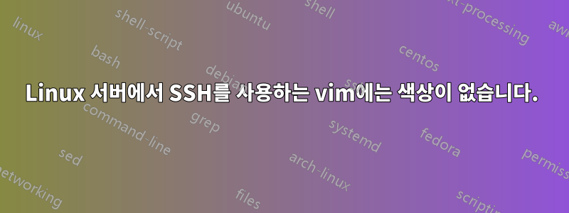 Linux 서버에서 SSH를 사용하는 vim에는 색상이 없습니다.