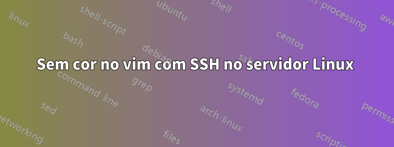 Sem cor no vim com SSH no servidor Linux