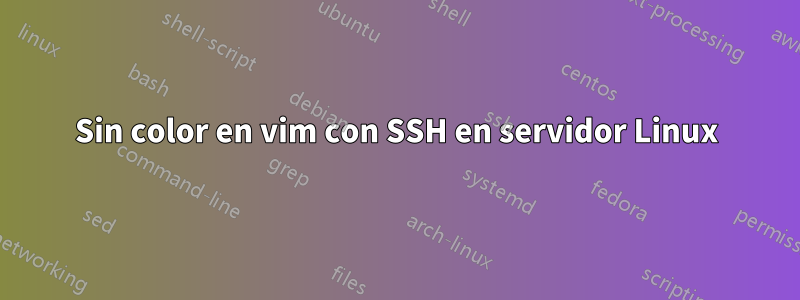 Sin color en vim con SSH en servidor Linux