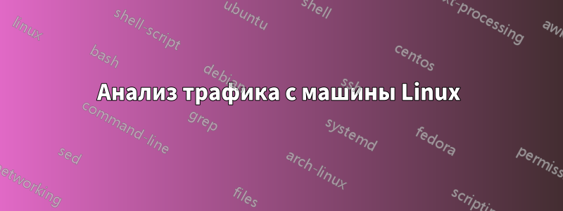 Анализ трафика с машины Linux