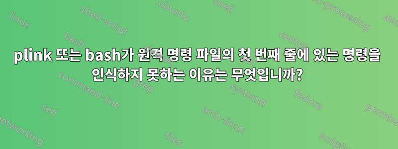 plink 또는 bash가 원격 명령 파일의 첫 번째 줄에 있는 명령을 인식하지 못하는 이유는 무엇입니까?