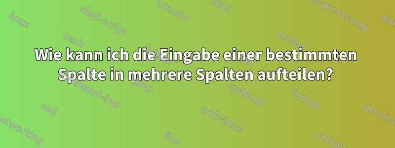 Wie kann ich die Eingabe einer bestimmten Spalte in mehrere Spalten aufteilen?