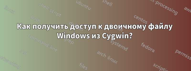 Как получить доступ к двоичному файлу Windows из Cygwin?