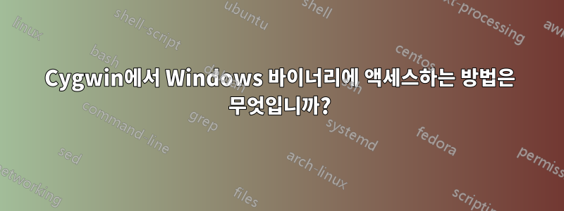 Cygwin에서 Windows 바이너리에 액세스하는 방법은 무엇입니까?