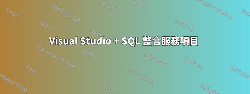 Visual Studio + SQL 整合服務項目
