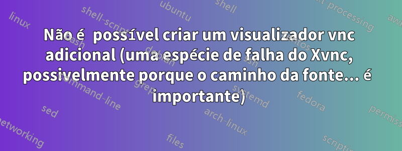 Não é possível criar um visualizador vnc adicional (uma espécie de falha do Xvnc, possivelmente porque o caminho da fonte... é importante)
