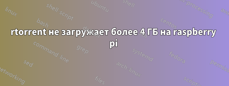 rtorrent не загружает более 4 ГБ на raspberry pi