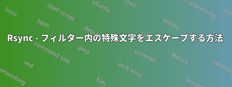 Rsync - フィルター内の特殊文字をエスケープする方法