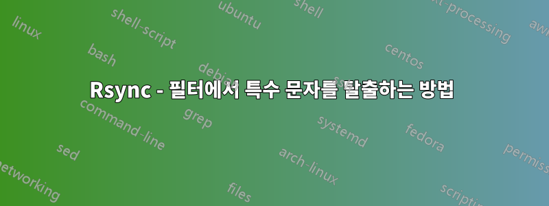Rsync - 필터에서 특수 문자를 탈출하는 방법