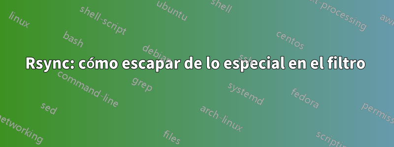 Rsync: cómo escapar de lo especial en el filtro