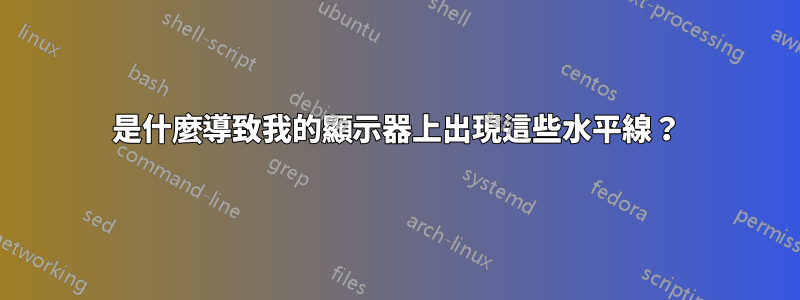 是什麼導致我的顯示器上出現這些水平線？