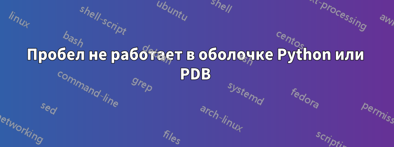 Пробел не работает в оболочке Python или PDB