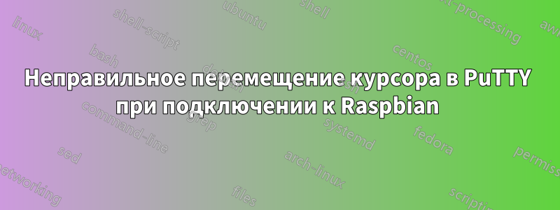 Неправильное перемещение курсора в PuTTY при подключении к Raspbian