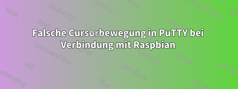Falsche Cursorbewegung in PuTTY bei Verbindung mit Raspbian