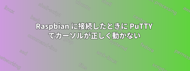 Raspbian に接続したときに PuTTY でカーソルが正しく動かない